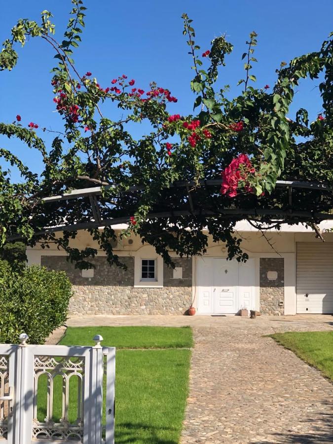 Villa Amalaya Flampouria Kültér fotó